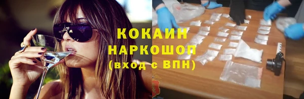 шишки Алексин