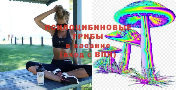 шишки Алексин