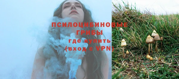 шишки Алексин